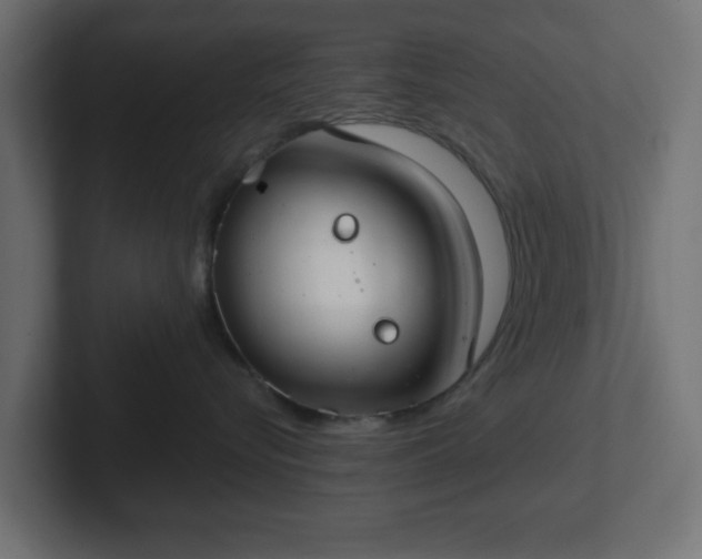 X0000103170576200808291512