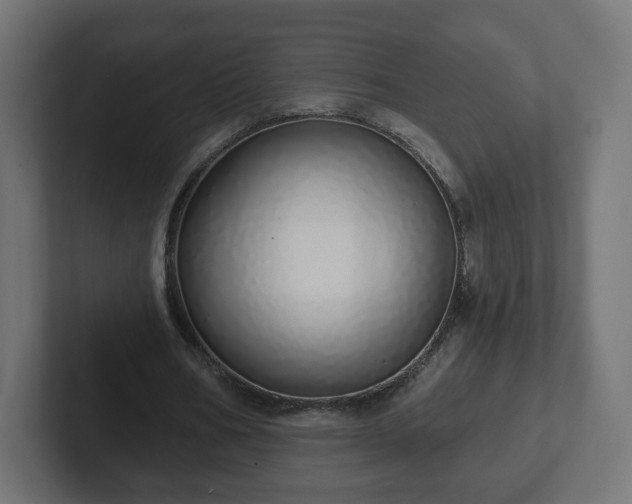 X0000103170578200808291512