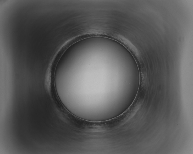 X0000103170580200808291512