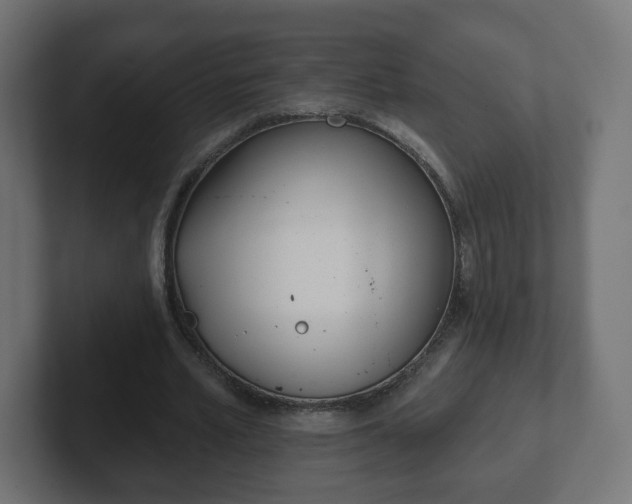 X0000103170581200808291512