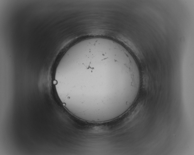 X0000103170584200808291512