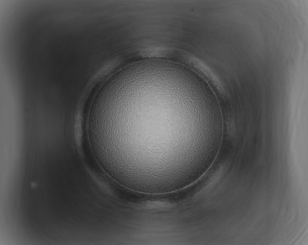 X0000103170586200808291512