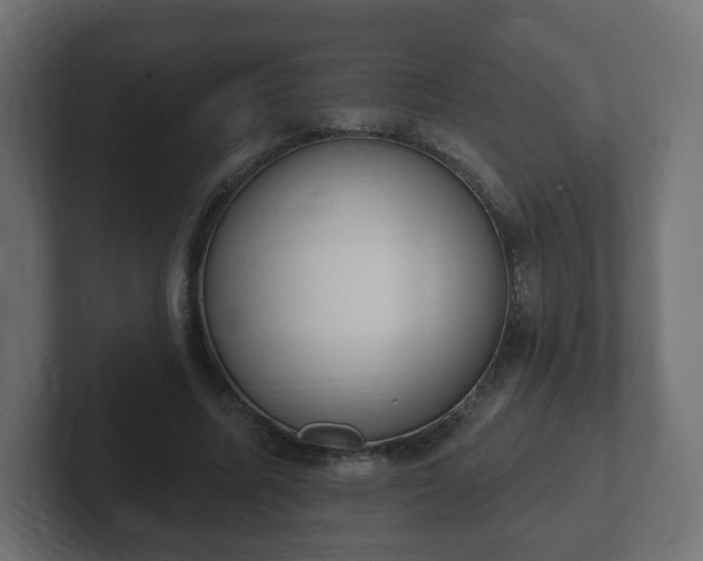 X0000103170587200808291512