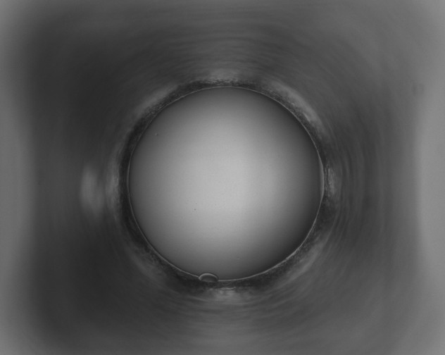 X0000103170588200808291512