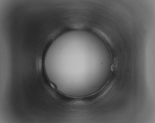 X0000103170589200808291512