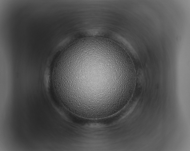 X0000103170590200808291512