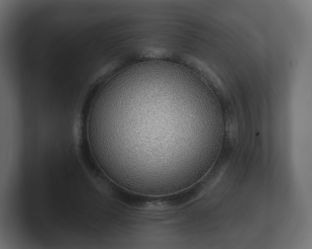 X0000103170591200808291512