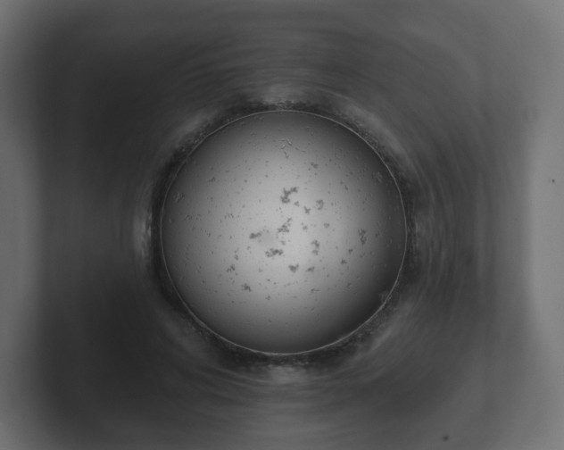 X0000103170592200808291512