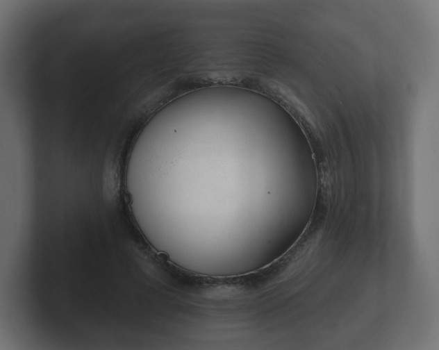 X0000103170593200808291512