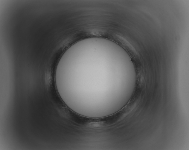 X0000103170595200808291512