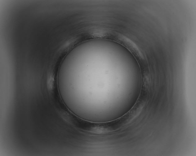 X0000103170596200808291512