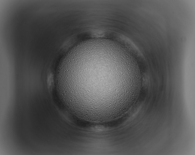 X0000103170598200808291512