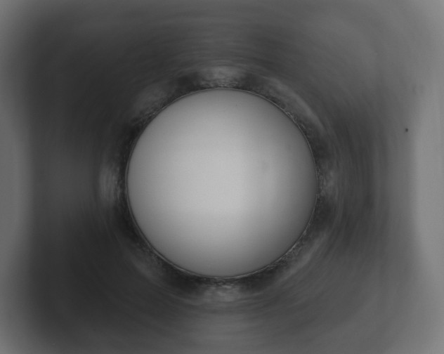 X0000103170599200808291512