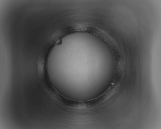 X0000103170600200808291512