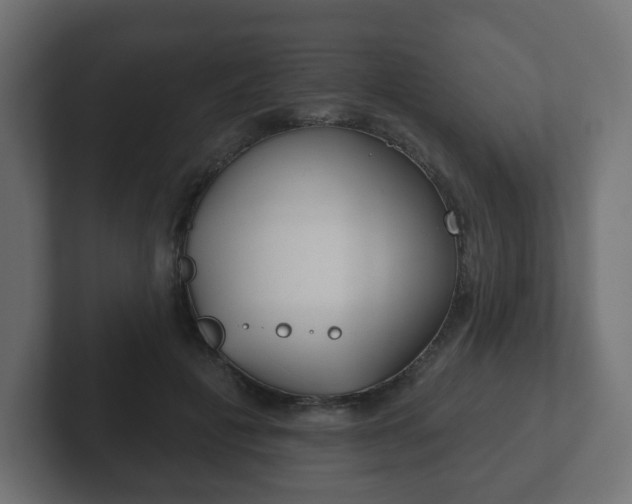 X0000103170601200808291512