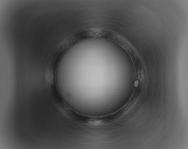 X0000103170602200808291512