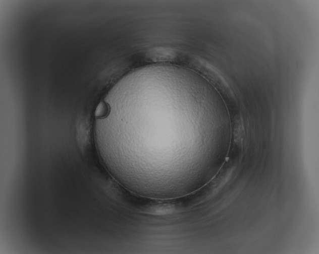 X0000103170604200808291512