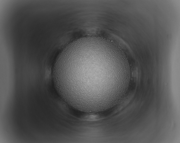 X0000103170610200808291511