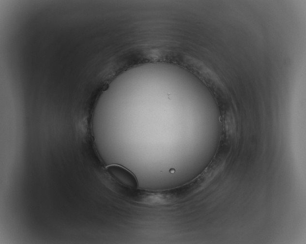 X0000103170611200808291511