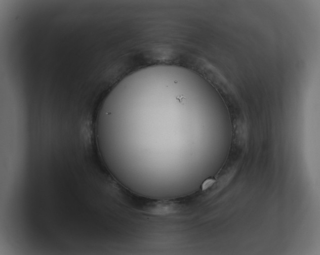 X0000103170612200808291511