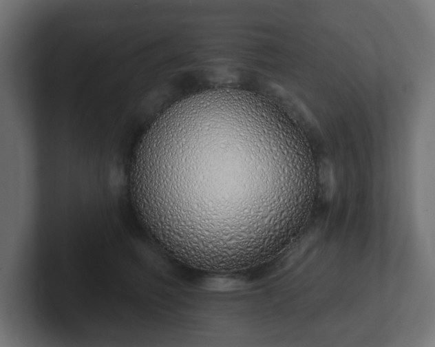 X0000103170614200808291511