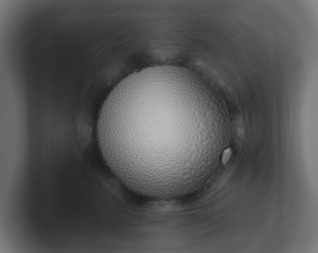 X0000103170615200808291511