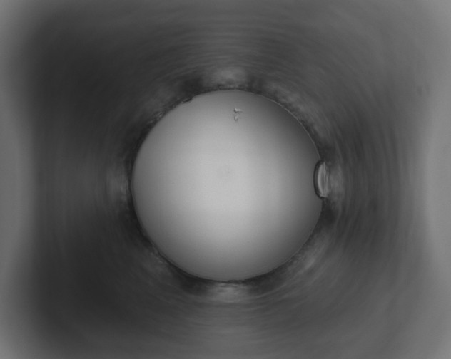 X0000103170617200808291511