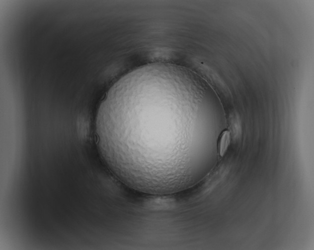 X0000103170619200808291511