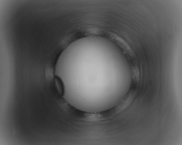 X0000103170621200808291511