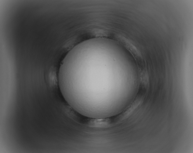 X0000103170622200808291511