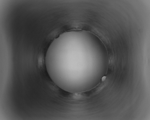 X0000103170623200808291511