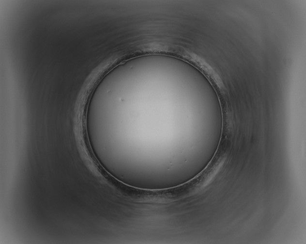 X0000103170625200808291511