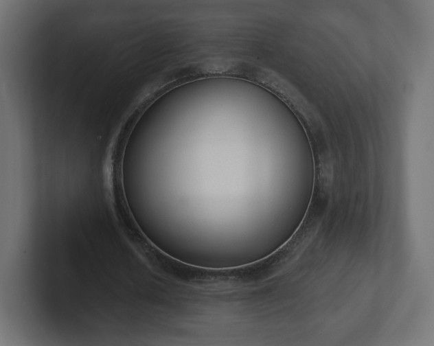 X0000103170626200808291511