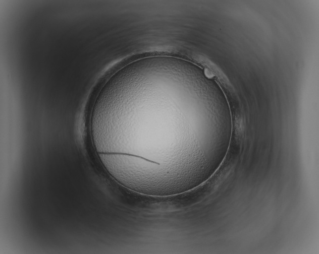 X0000103170628200808291511