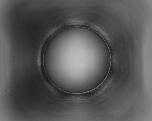 X0000103170629200808291511