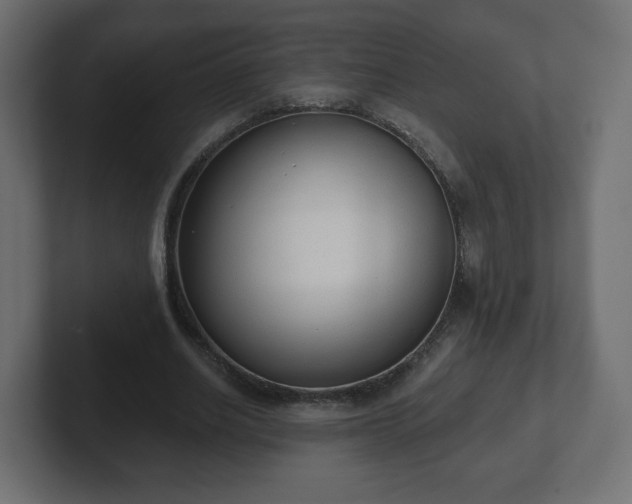 X0000103170630200808291511