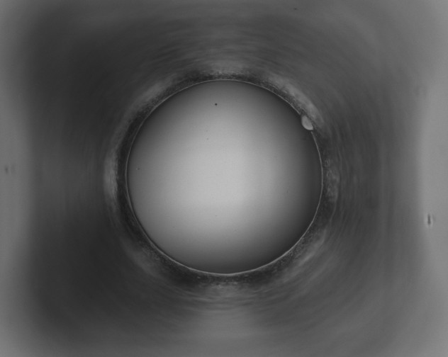 X0000103170631200808291511