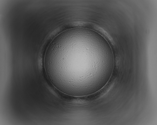 X0000103170633200808291511