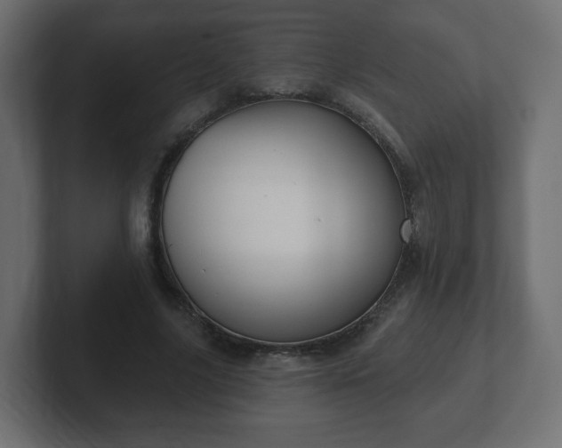 X0000103170635200808291511