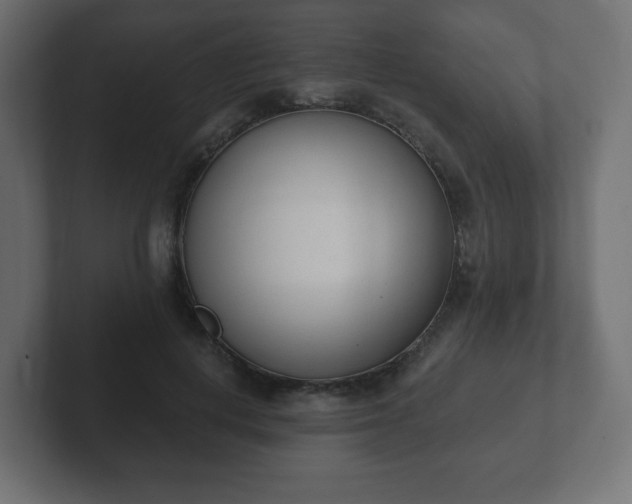 X0000103170648200808291511