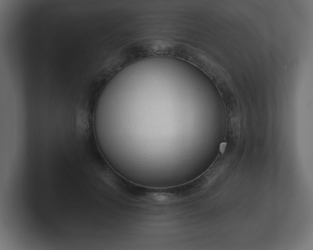 X0000103170654200808291511