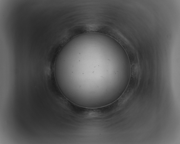 X0000103170655200808291511