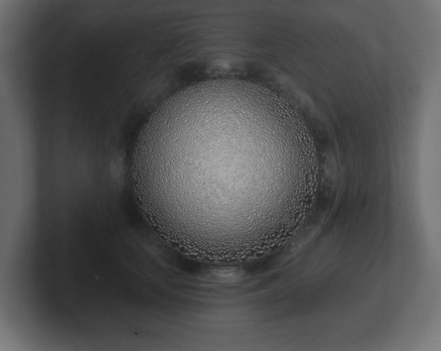 X0000103170659200808291511