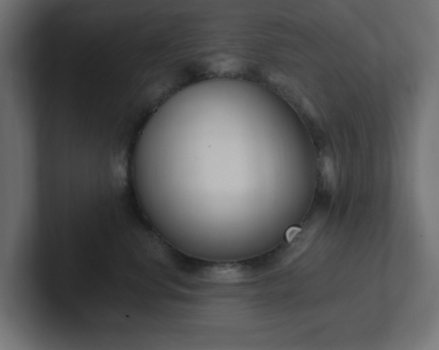 X0000103170668200808291511