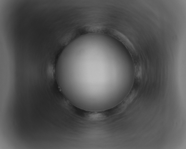 X0000103170669200808291511