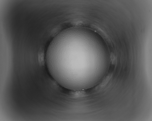 X0000103170670200808291511