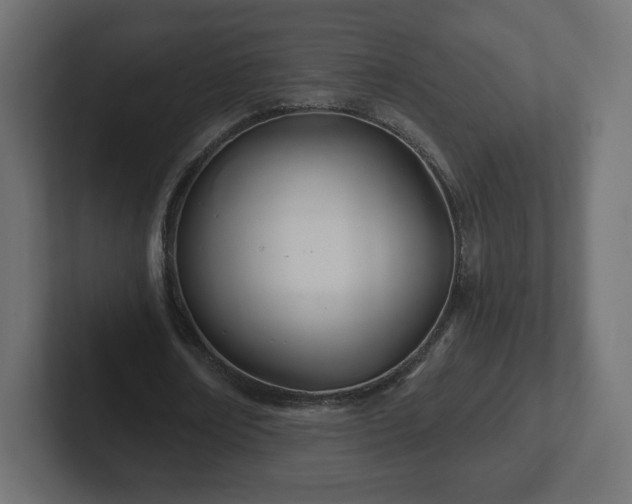 X0000103170674200808291511