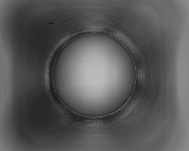 X0000103170676200808291511