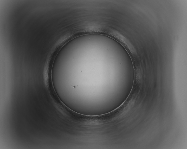 X0000103170677200808291511