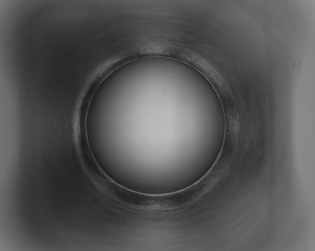 X0000103170678200808291511